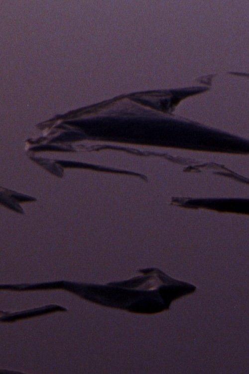 Plastic Aortas