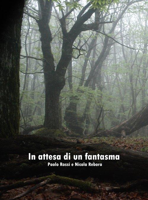 In attesa di un fantasma
