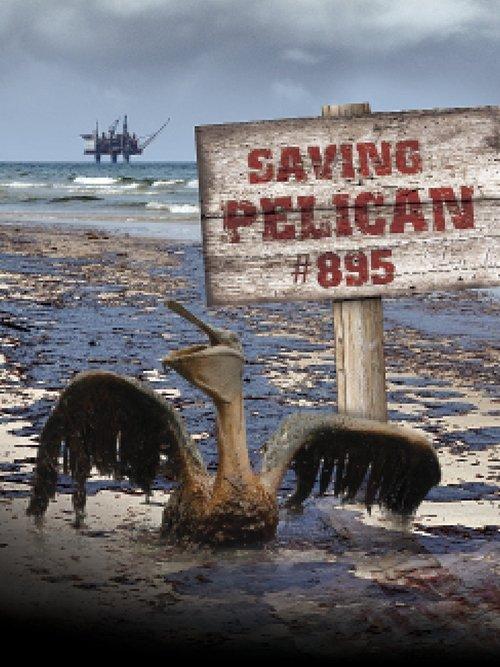 Salvando o Pelicano 895