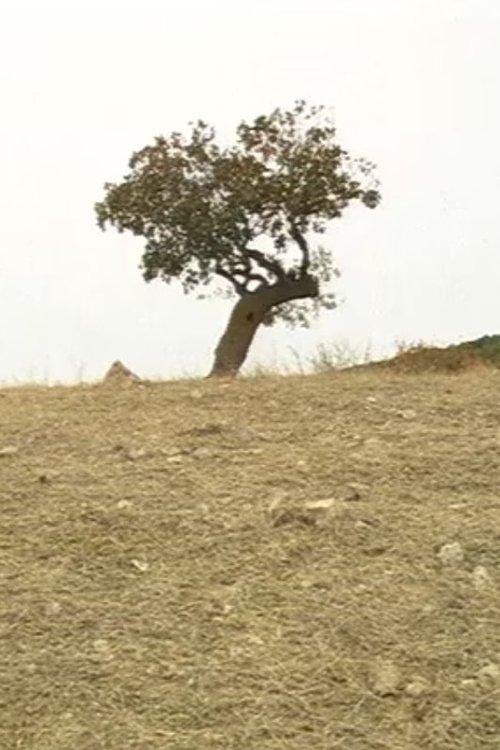 Ekimde Hiçbir Kere