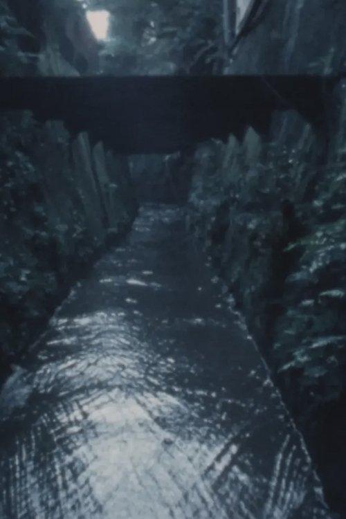六月の森・七月の沼