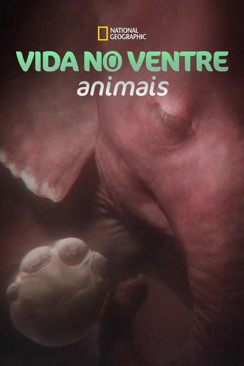 Vida no Ventre: Animais