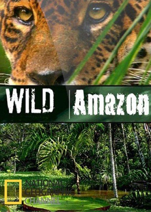 Amazônia Selvagem