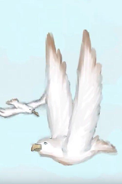 Albatros