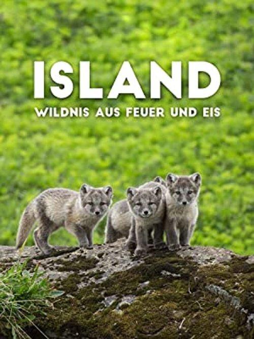 Island - Wildnis aus Feuer und Eis