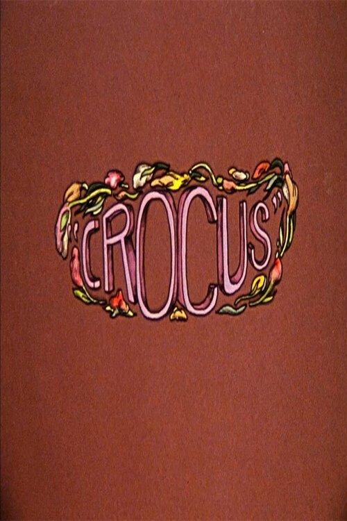 Crocus