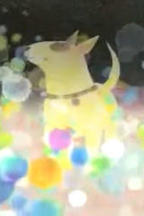 お休み