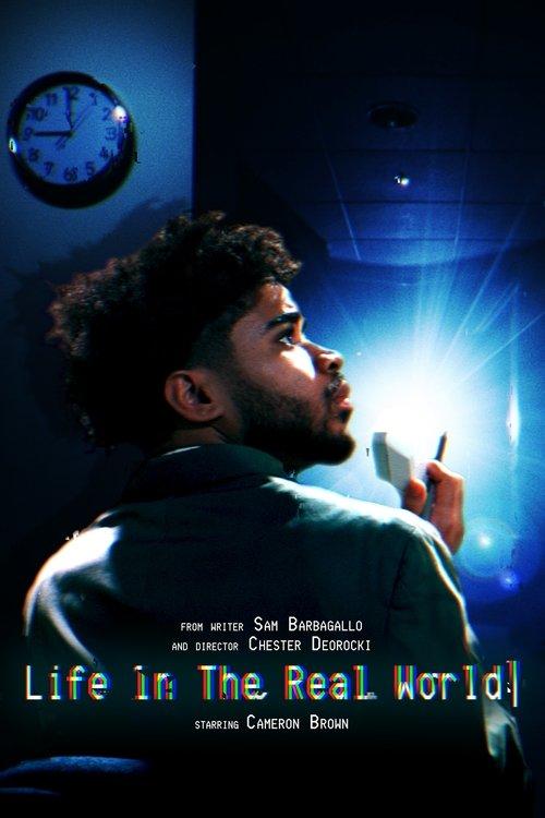 Life In The Real World