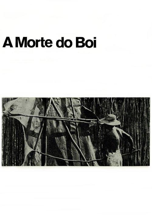 A Morte do Boi