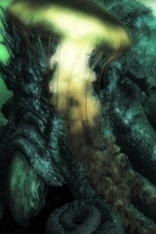 The Kraken
