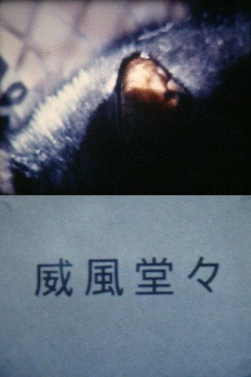 威風堂々