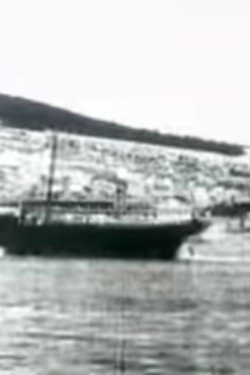 Šibenska luka