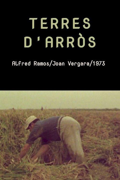 Terres d'arròs