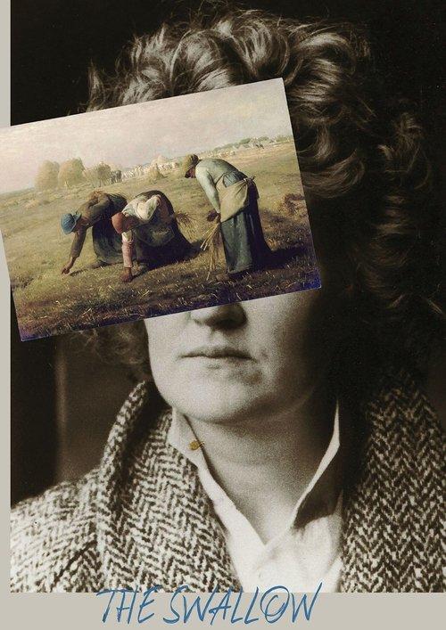 The Swallow