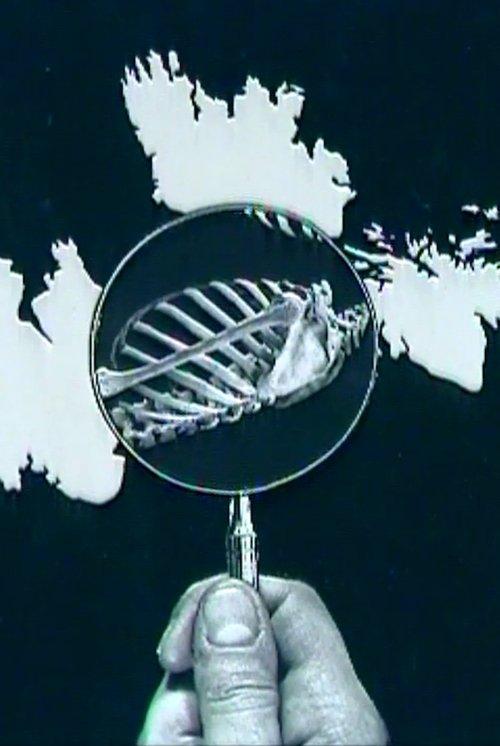 Photomontage Today: Peter Kennard