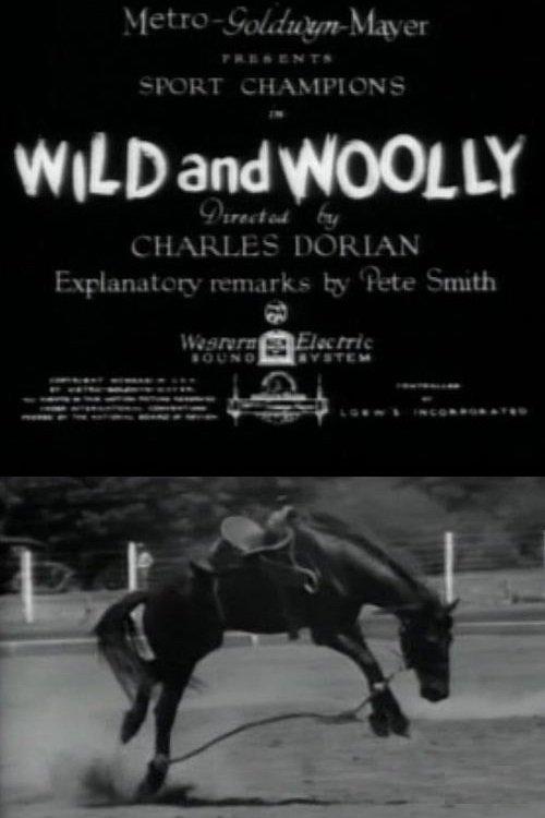 Wild and Woolly