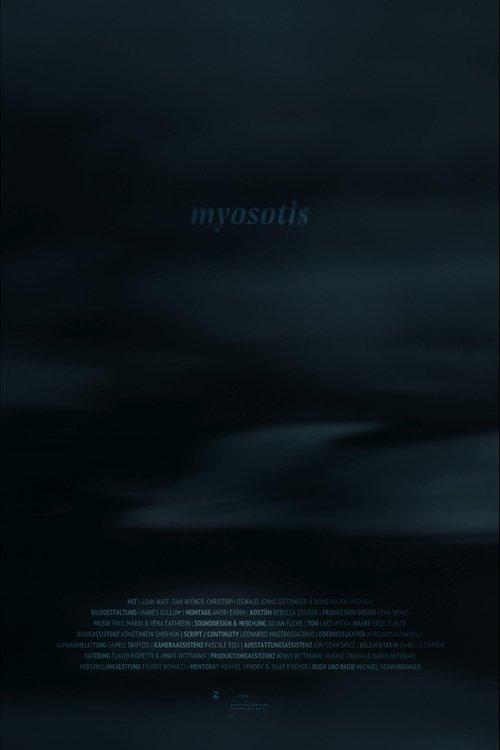 Myosotis