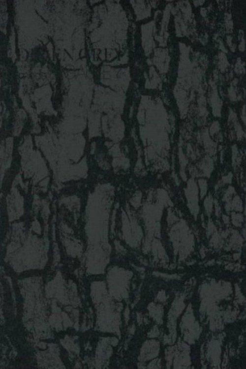 Dir En Grey - Tour 14 Psychonnect - Mode Of "Gauze"?