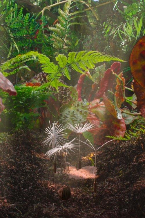Planètes