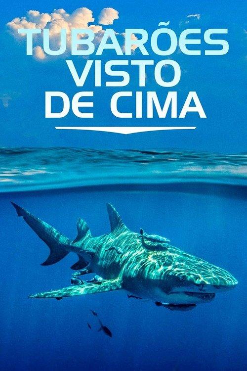 Tubarões Visto de Cima