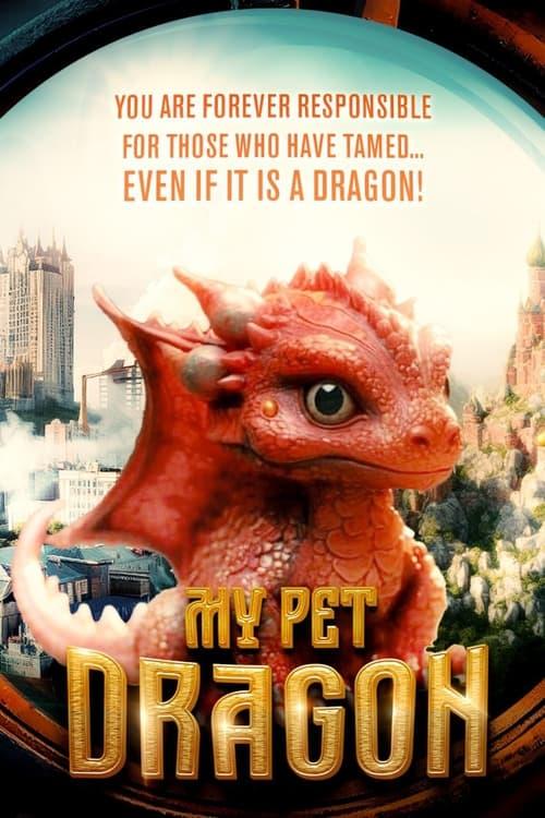 Meu Dragão de Estimação