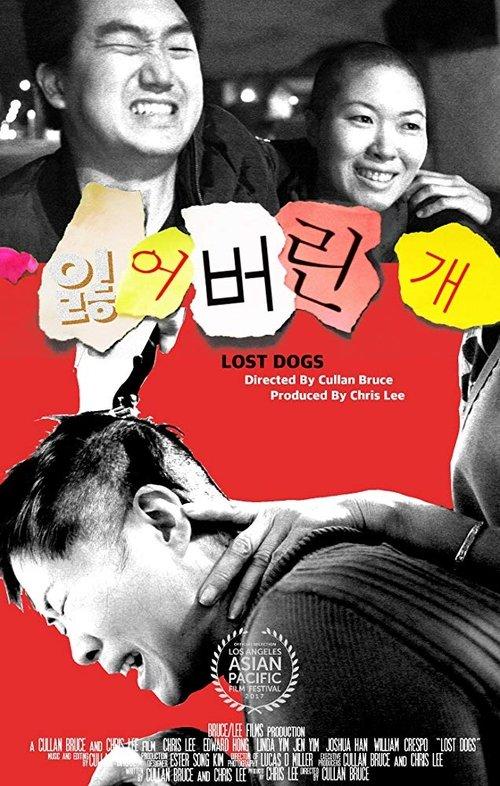 잃어버린 개