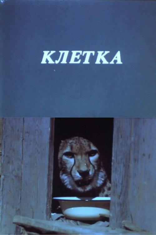 Клетка