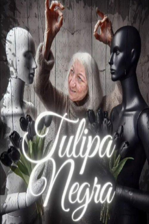 Tulipa Negra