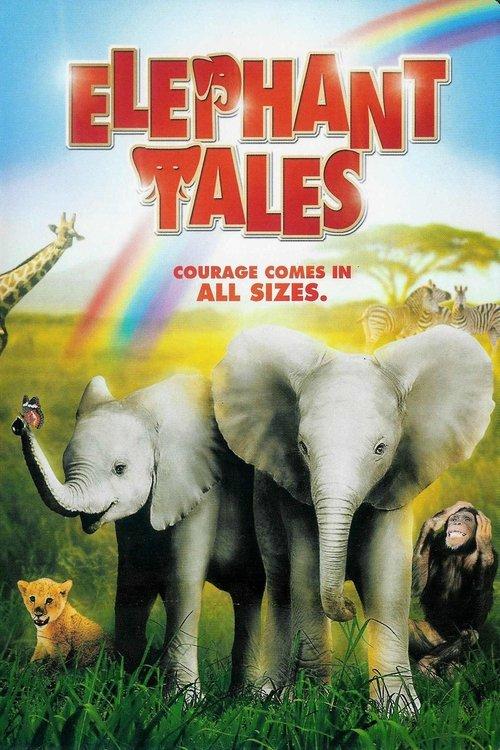 Pequenos Grandes Elefantes