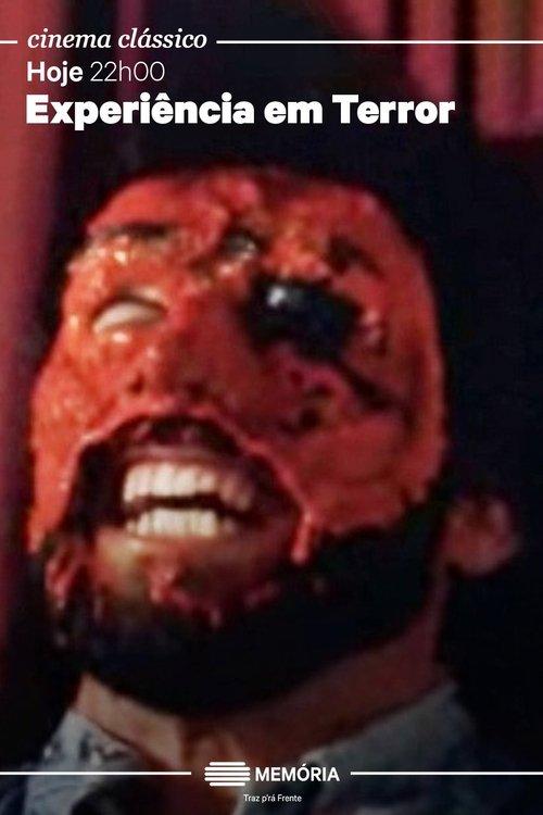 Experiência em Terror