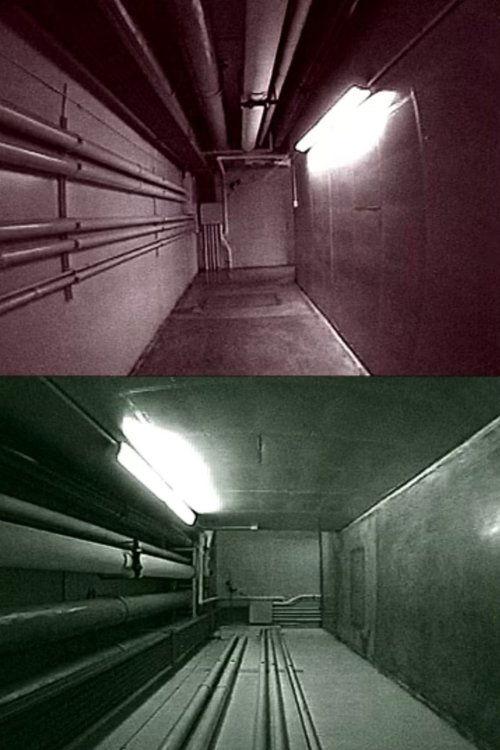 Meandering Modules