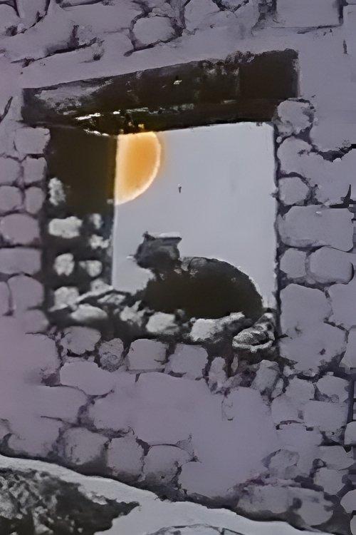 Le chat caméléon