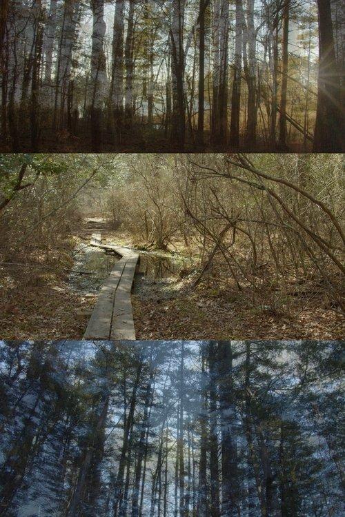 Pathways