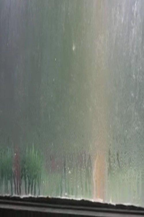 Fogged Windows