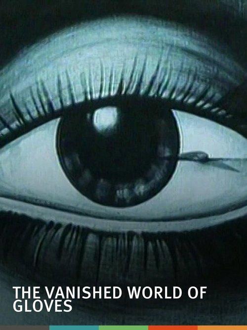 O Mundo Esquecido das Luvas