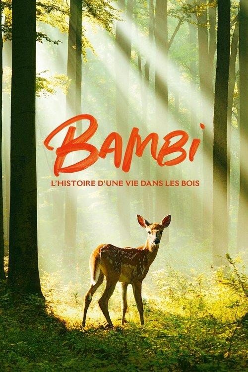 Bambi: Uma aventura na floresta