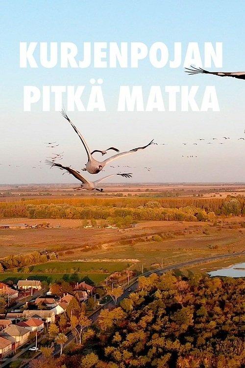 Kurjenpojan pitkä matka