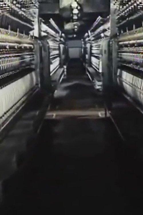 太陽の糸