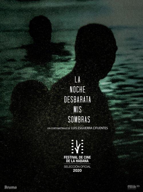 A Noite Desbarata Minhas Sombras