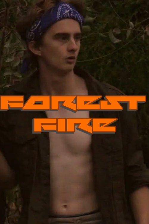 Forest Fire