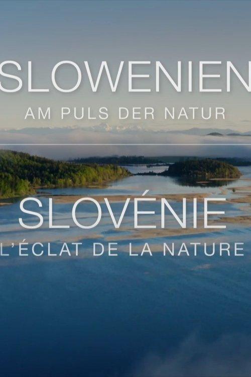 Slowenien - Am Puls der Wildnis