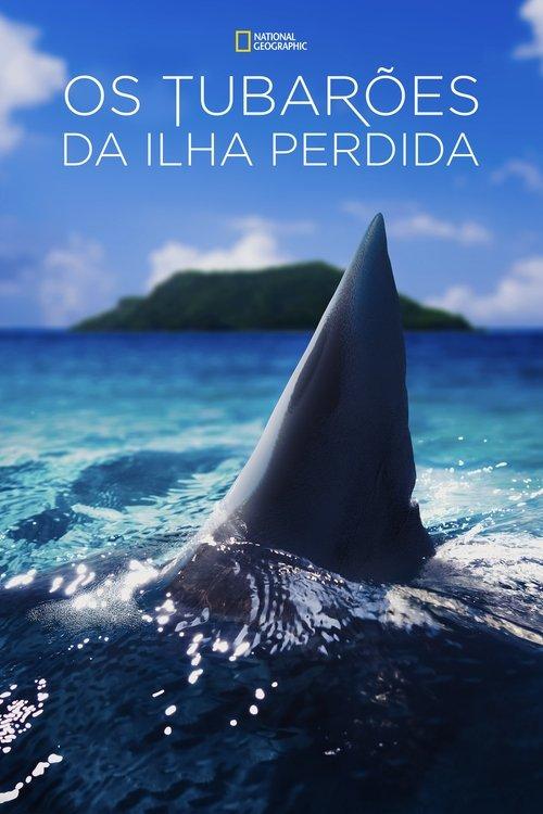 Os Tubarões da Ilha Perdida