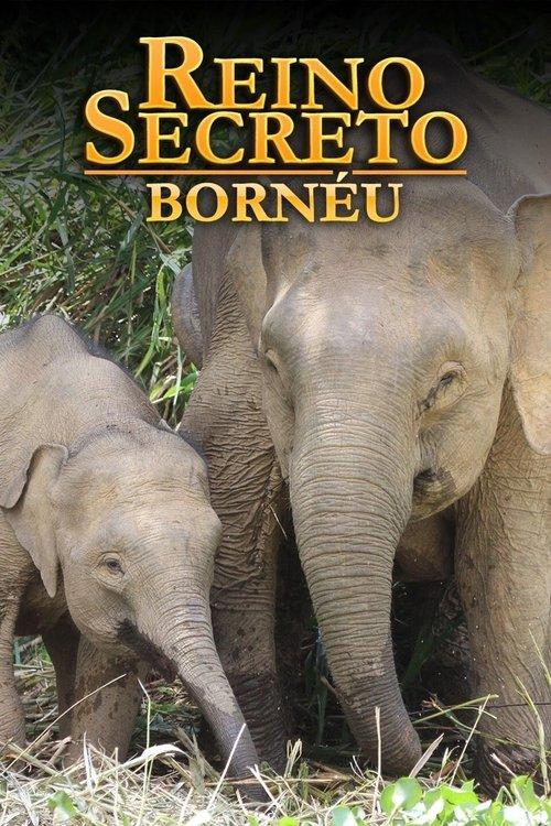 Reino Secreto: Bornéu