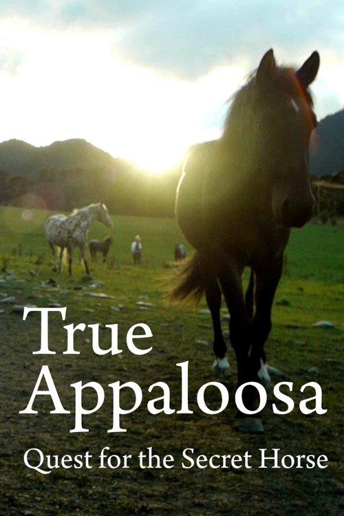 O Verdadeiro Appaloosa
