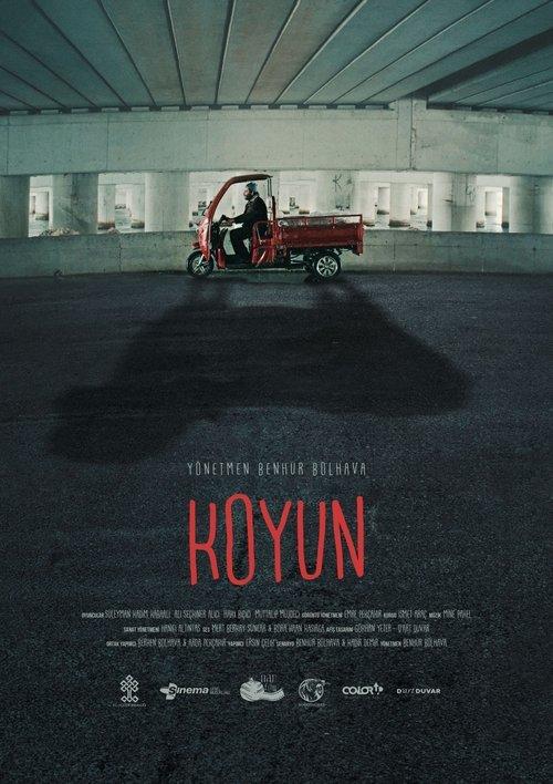 Koyun
