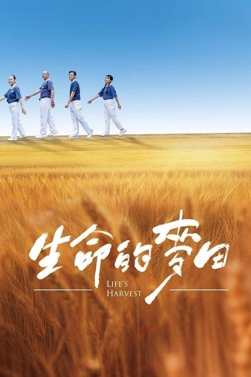 生命的麥田