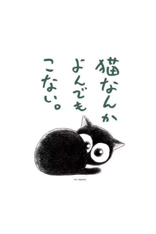 Neko nanka Yondemo Konai.