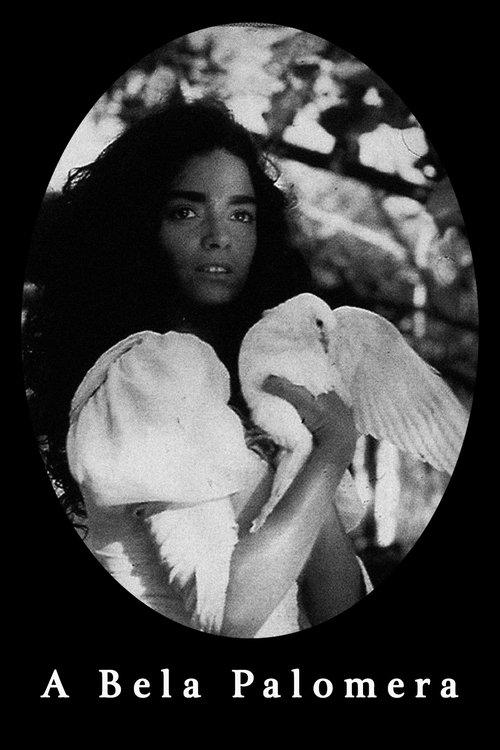 A Bela Palomera