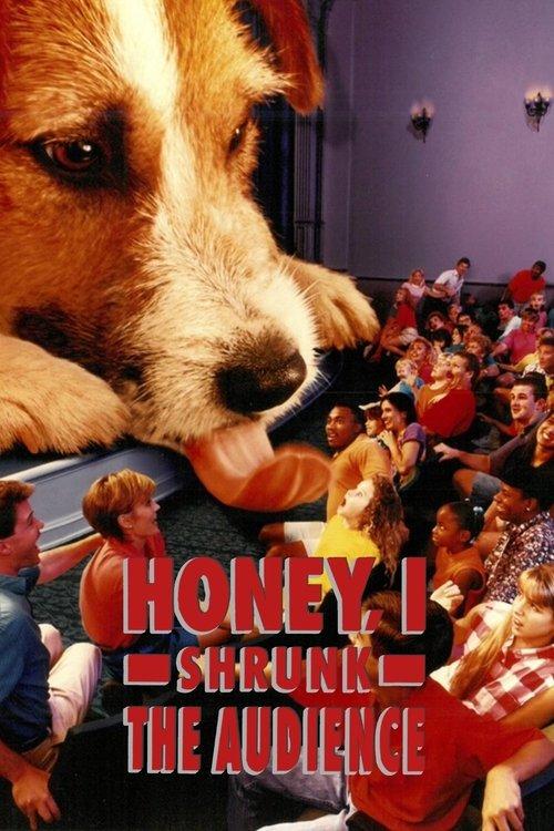 Honey, I Shrunk the Audience!