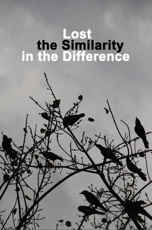Lost the Similarity in the Difference